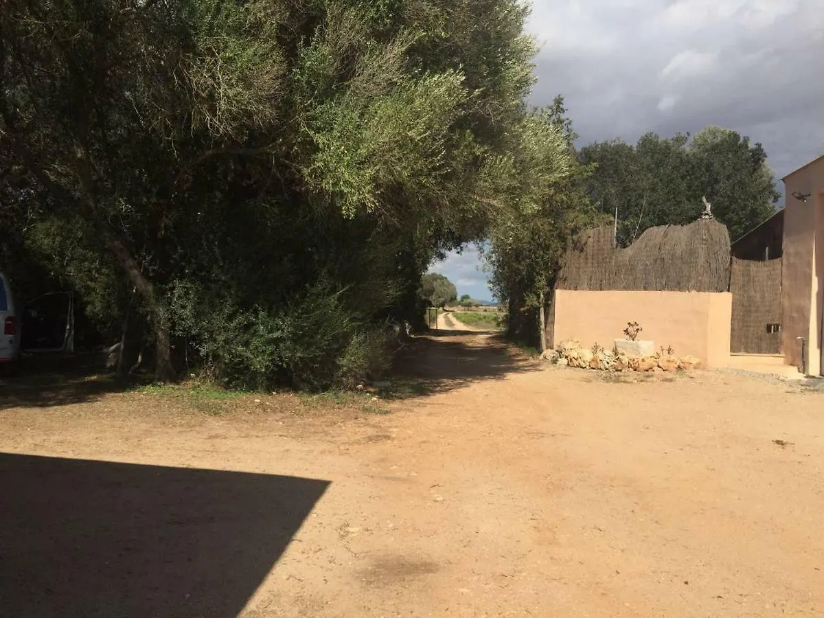 Charming Finca Son Julia With Pool Near 波勒瑞斯