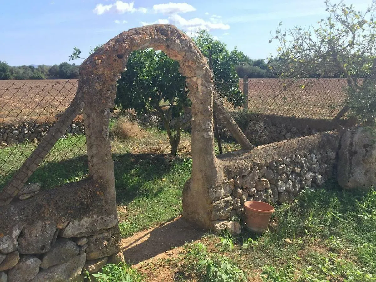 度假居 Charming Finca Son Julia With Pool Near 波勒瑞斯